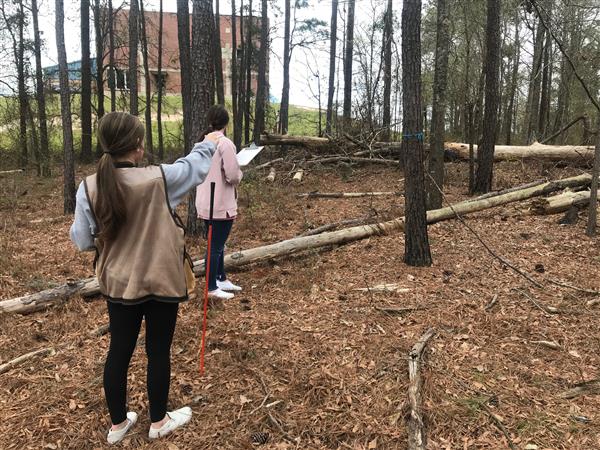 Forestry practice