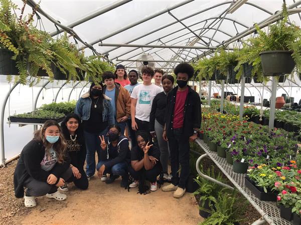 greenhouse